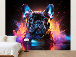 photo-wallpaper-french-bulldog-in-water-surrounded-by-neon-colours-on-black