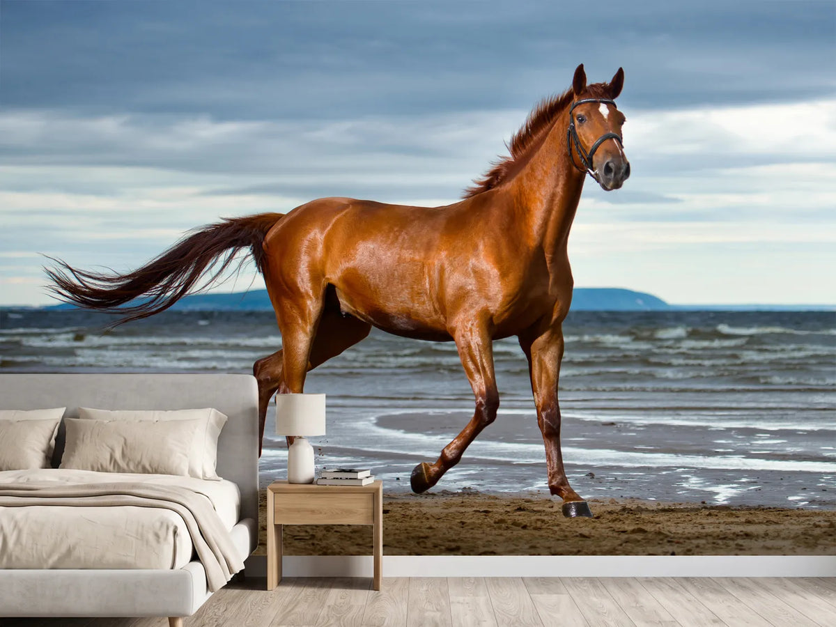 photo-wallpaper-a-thoroughbred-at-the-sea