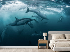 photo-wallpaper-dolphine-run-x