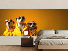 photo-wallpaper-meerkat-trio-in-yellow-hoodies-and-sunglasses