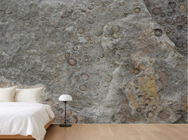 photo-wallpaper-fossilized-rock-texture