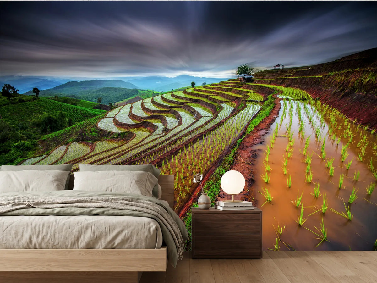 photo-wallpaper-cloudy-rice-terraces