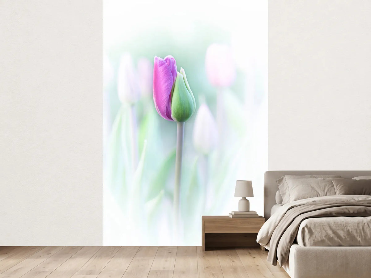 photo-wallpaper-elegant-x