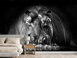 photo-wallpaper-power