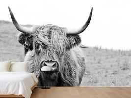 photo-wallpaper-brown-highland-cow-in-black-and-white