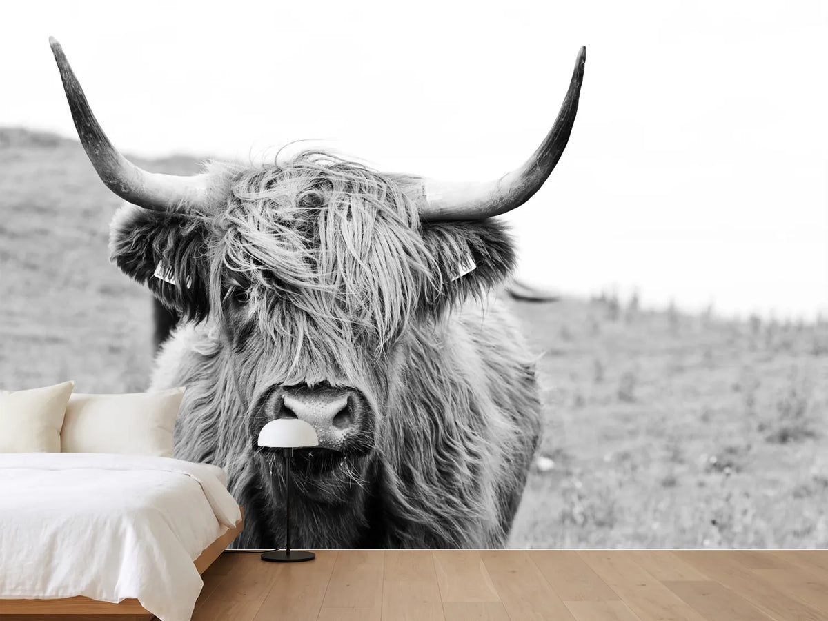 photo-wallpaper-brown-highland-cow-in-black-and-white