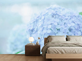photo-wallpaper-the-hydrangea