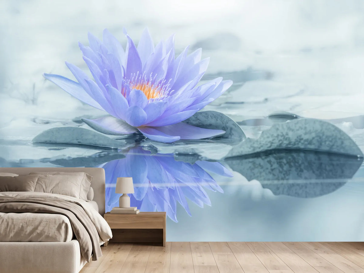 photo-wallpaper-reflection-xus