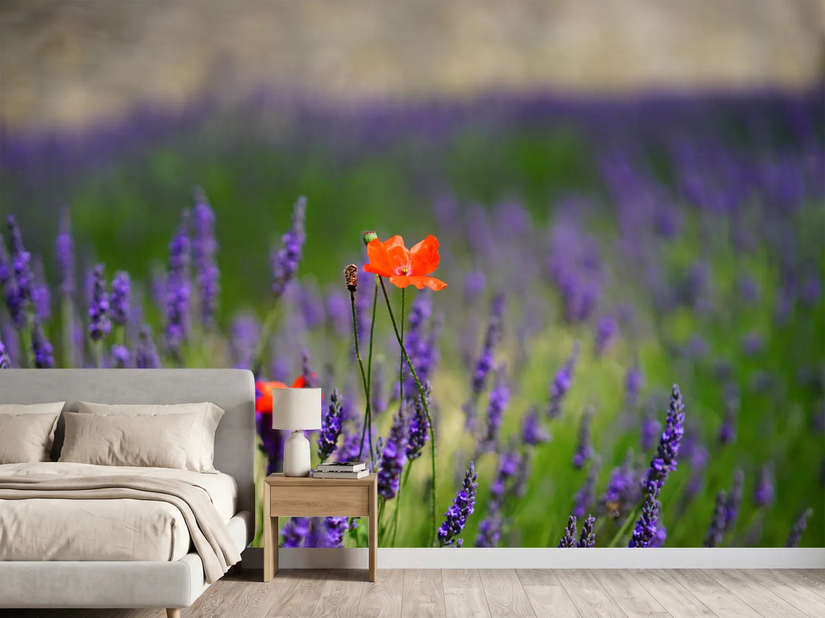 photo-wallpaper-poppy-in-the-lavender