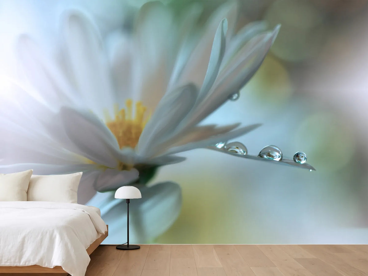 photo-wallpaper-light-touch