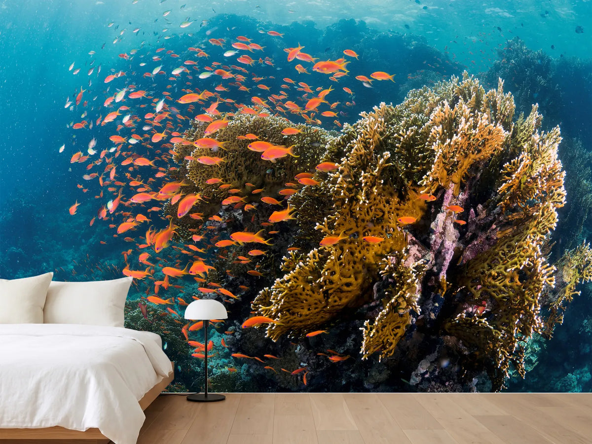 photo-wallpaper-reefscape-x