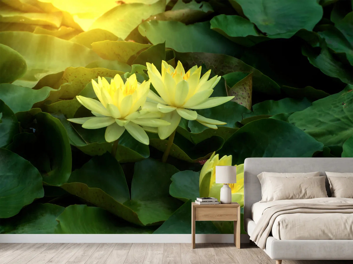 photo-wallpaper-wild-lotus