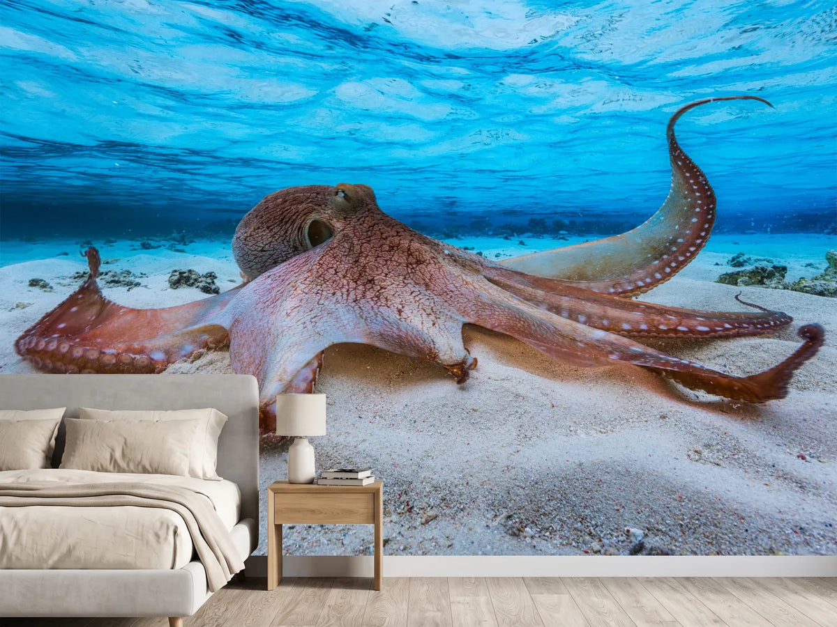 photo-wallpaper-octopus