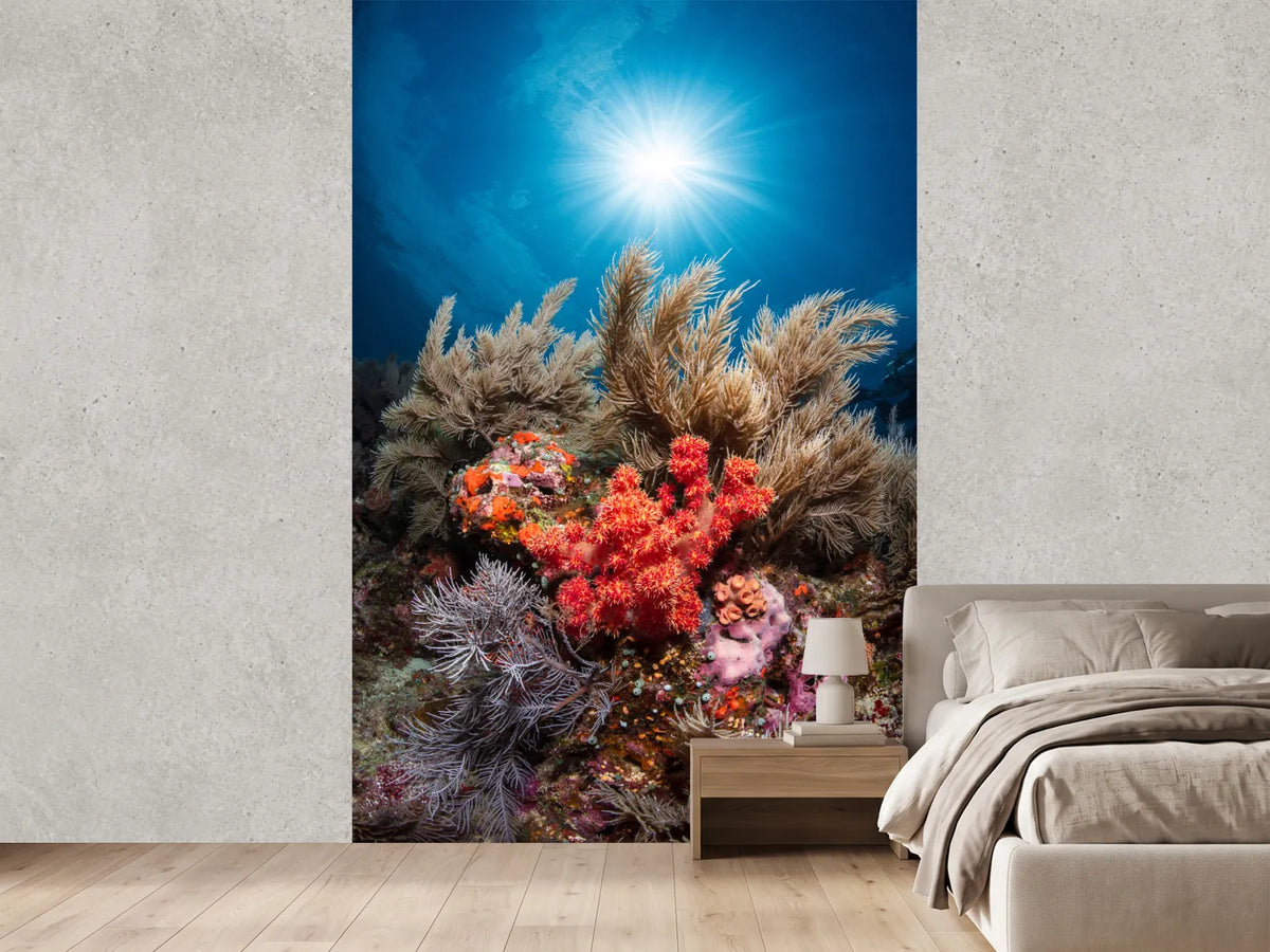 photo-wallpaper-underwater-life