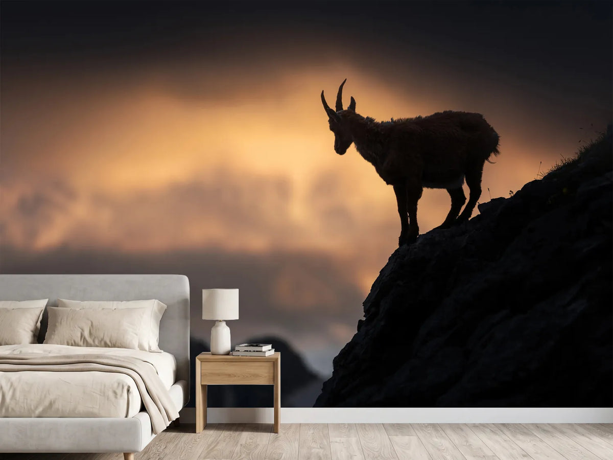 photo-wallpaper-alpine-ibex-x
