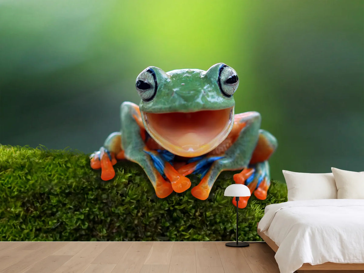 photo-wallpaper-tree-frog-flying-frog-laughing