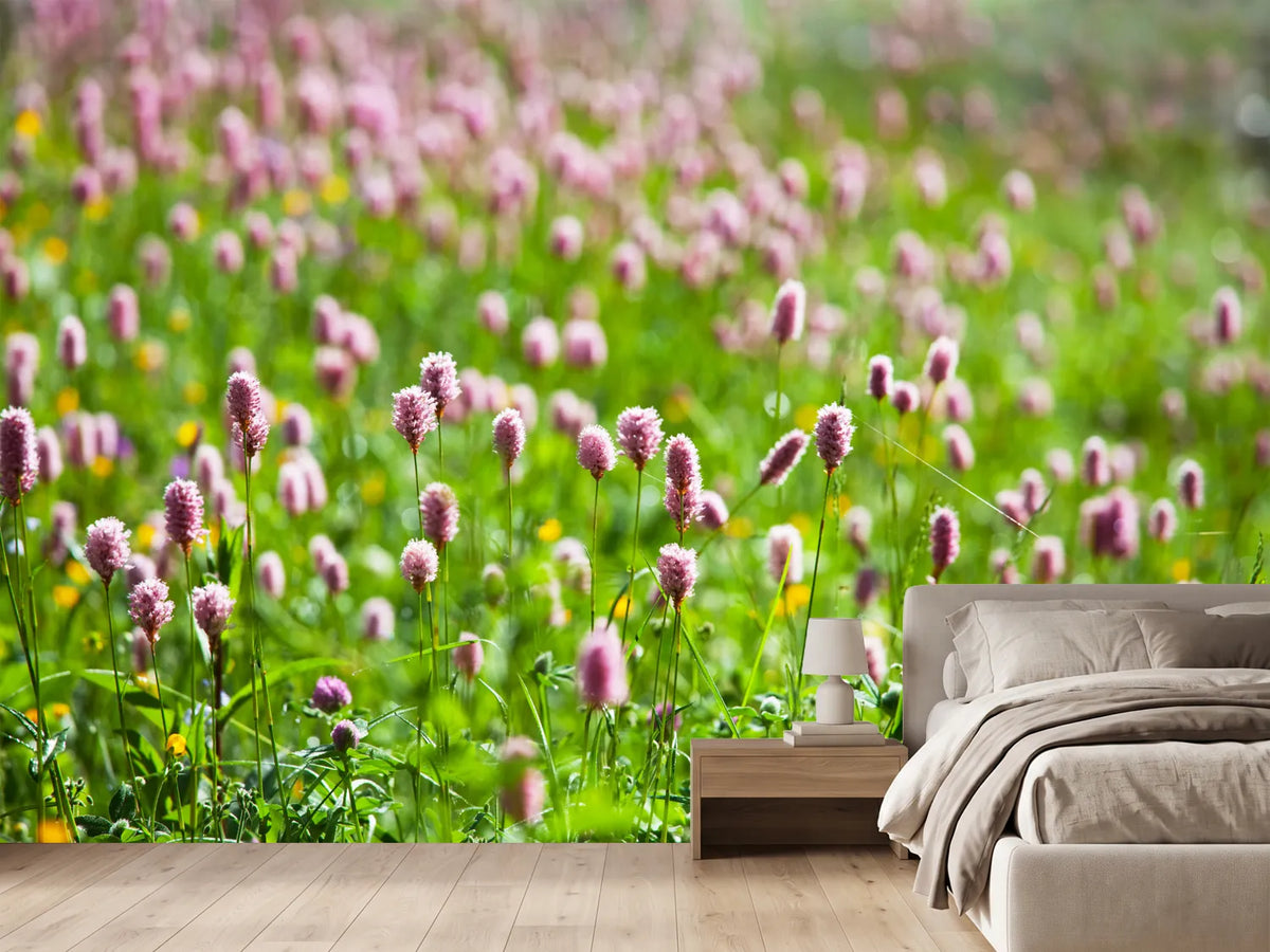 photo-wallpaper-clover