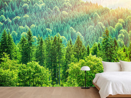 photo-wallpaper-the-forest-hill