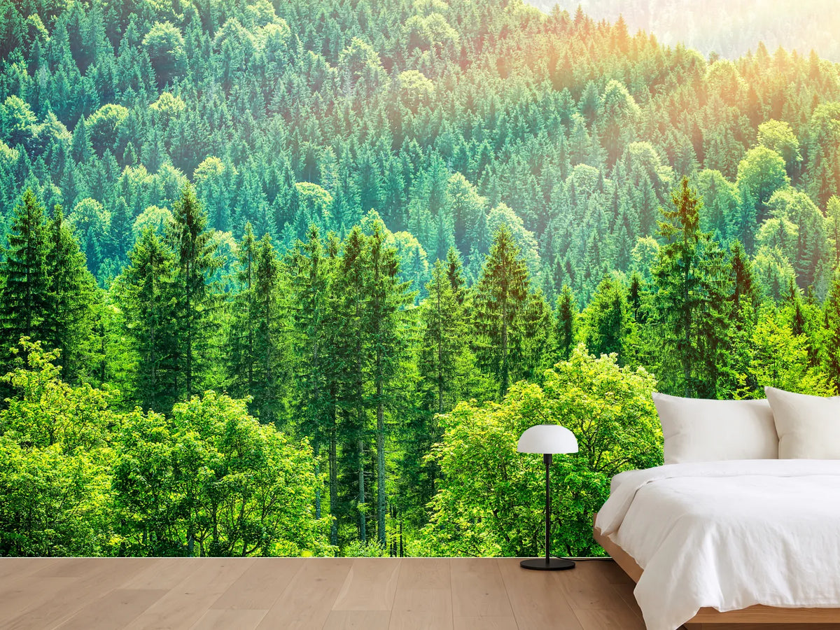 photo-wallpaper-the-forest-hill