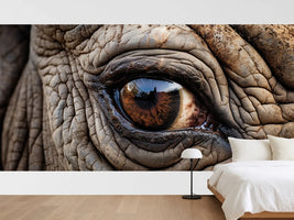 photo-wallpaper-eye-of-a-rhino-close-up-pupil