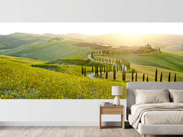 photo-wallpaper-sunny-fields-in-tuscany-italy