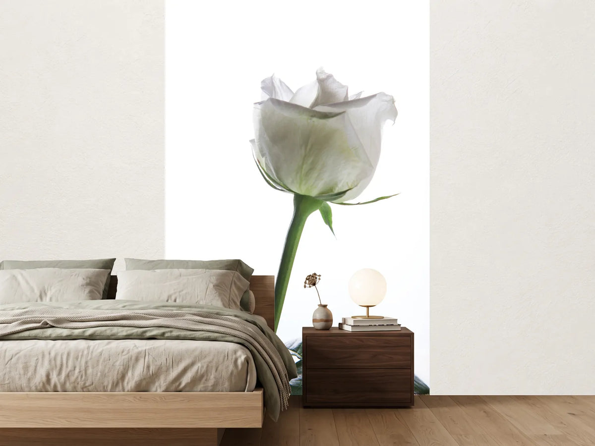 photo-wallpaper-on-behalf-of-the-rose