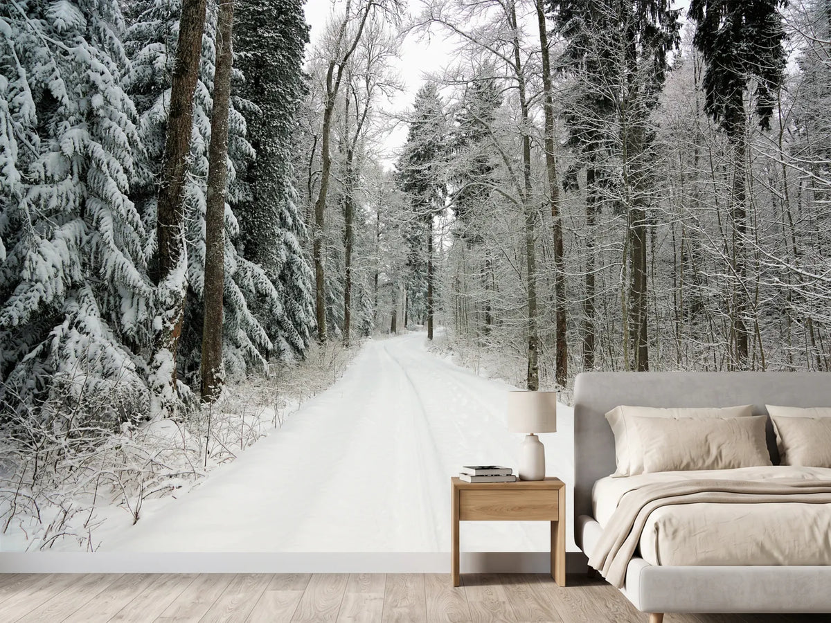 photo-wallpaper-snow-in-the-forest