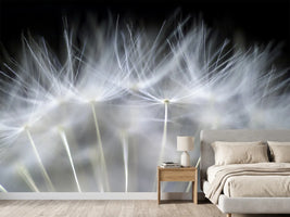photo-wallpaper-blow-it-x