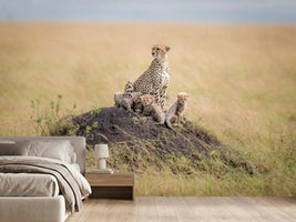 photo-wallpaper-regal-protector