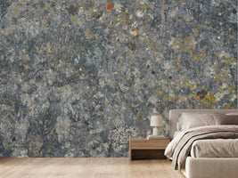 photo-wallpaper-lichen-covered-rock