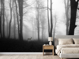 photo-wallpaper-forest-xue