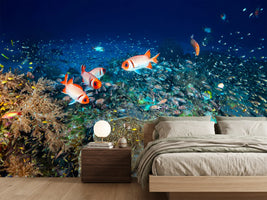 photo-wallpaper-reef-lifeii