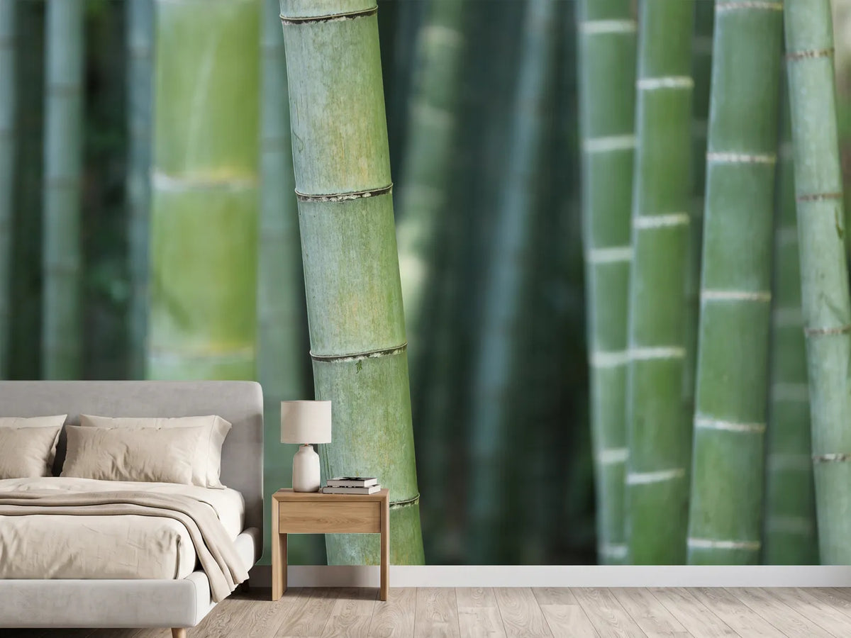 photo-wallpaper-bamboo-in-xxl