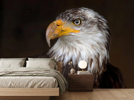 photo-wallpaper-caged-eagle