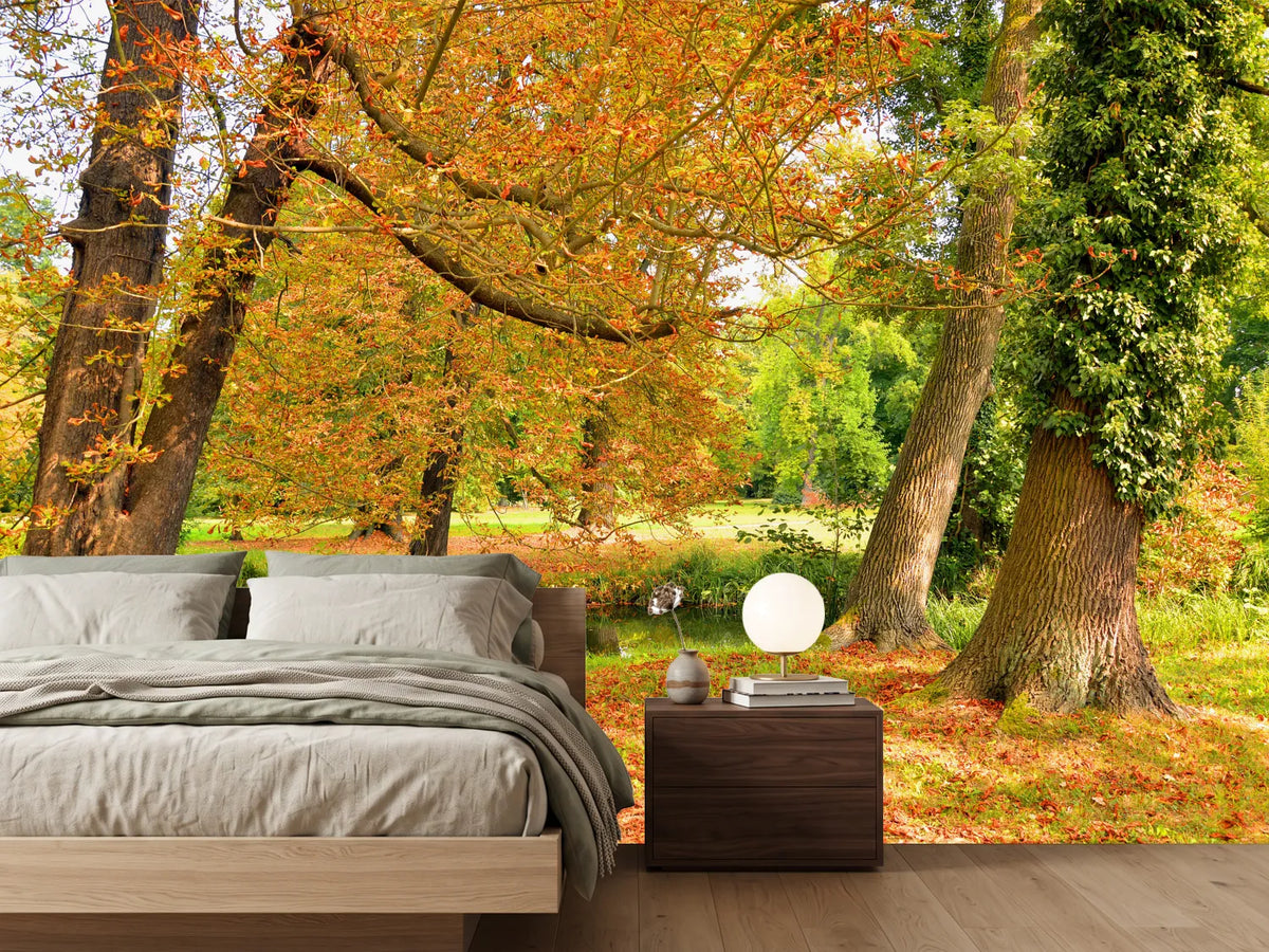 photo-wallpaper-in-the-middle-of-autumn-trees