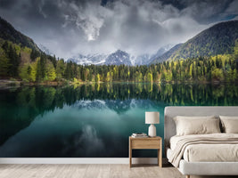photo-wallpaper-moody-day-x