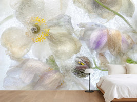 photo-wallpaper-anemone-frost-x
