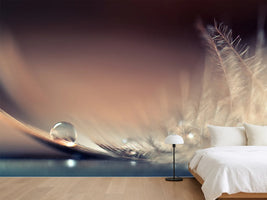 photo-wallpaper-stories-of-drops