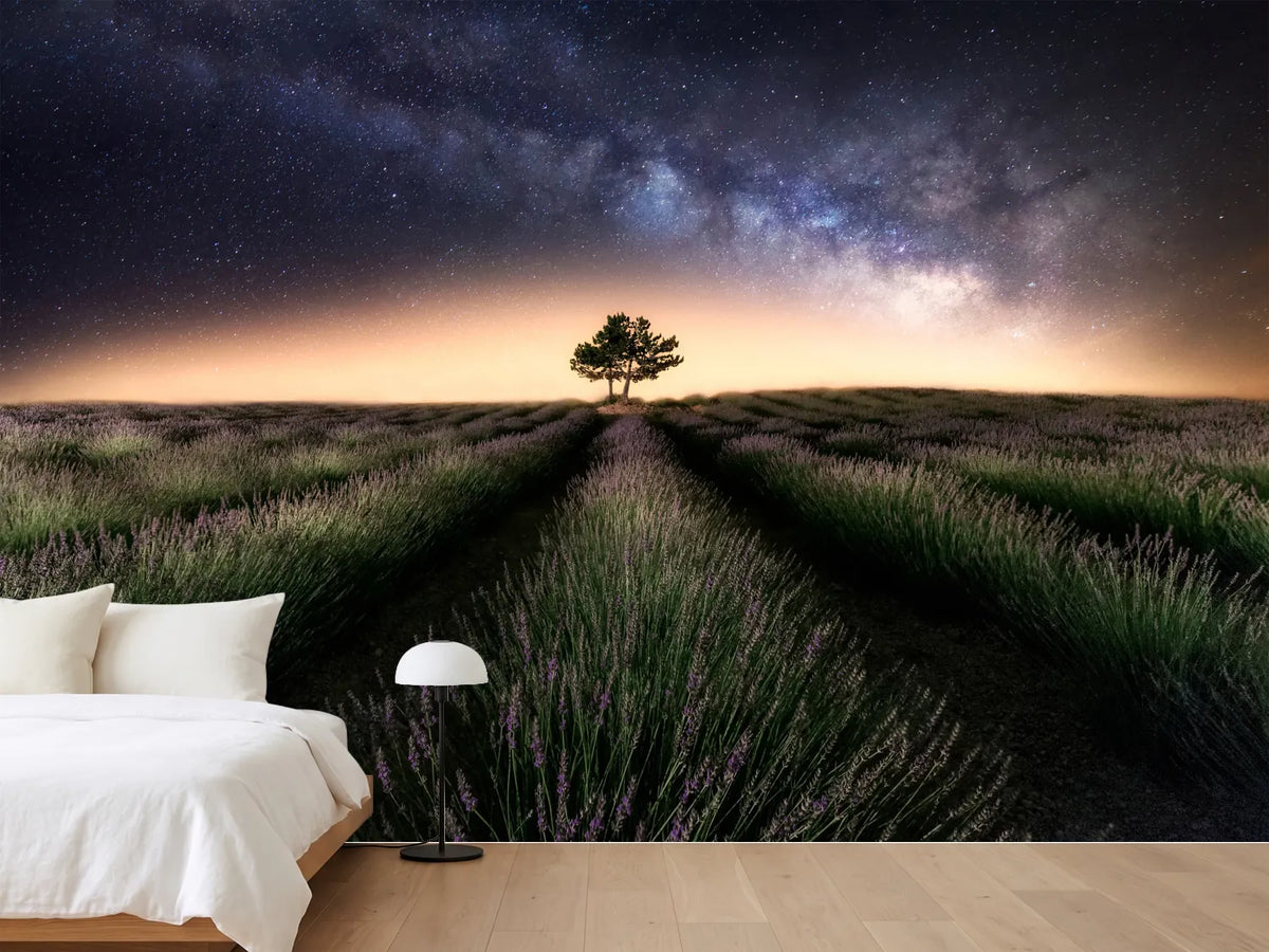 photo-wallpaper-lavender-way