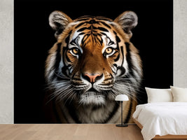 photo-wallpaper-tiger-portrait-against-deep-black-with-amber-eyes