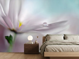 photo-wallpaper-where-dreams-come-true