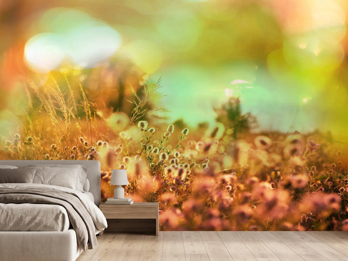 photo-wallpaper-flower-meadow-at-twilight