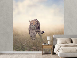 photo-wallpaper-the-cheetah
