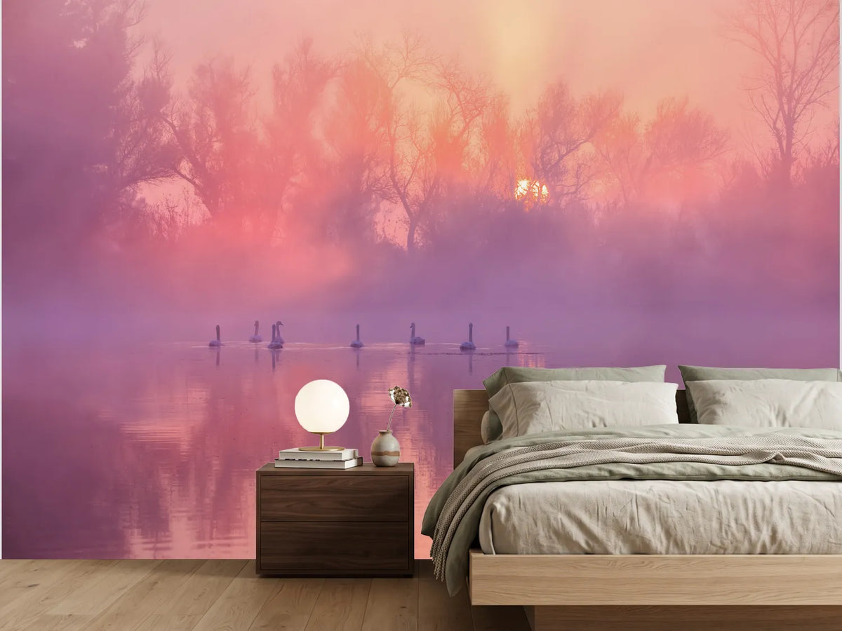 photo-wallpaper-swans-misty-morning