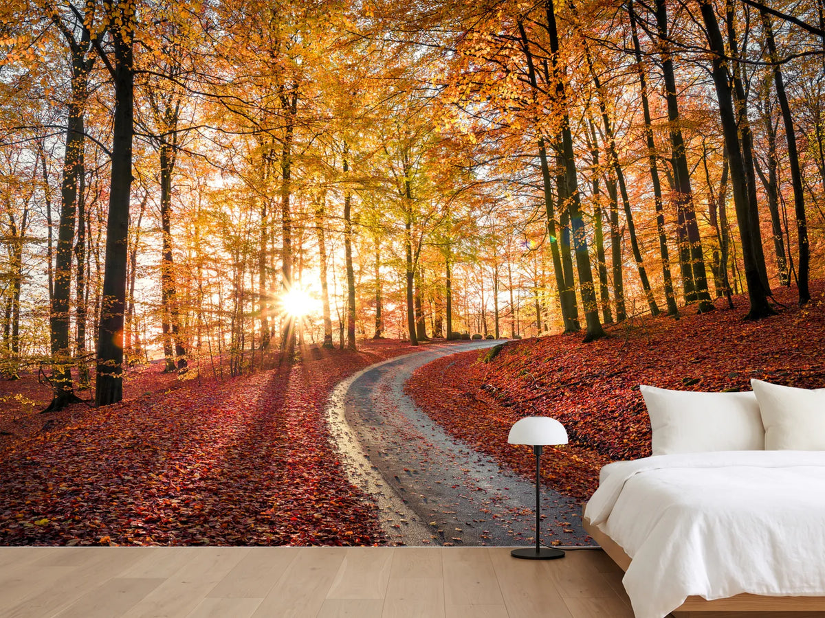 photo-wallpaper-road-in-sapderaysen-nationalpark-sweden-x
