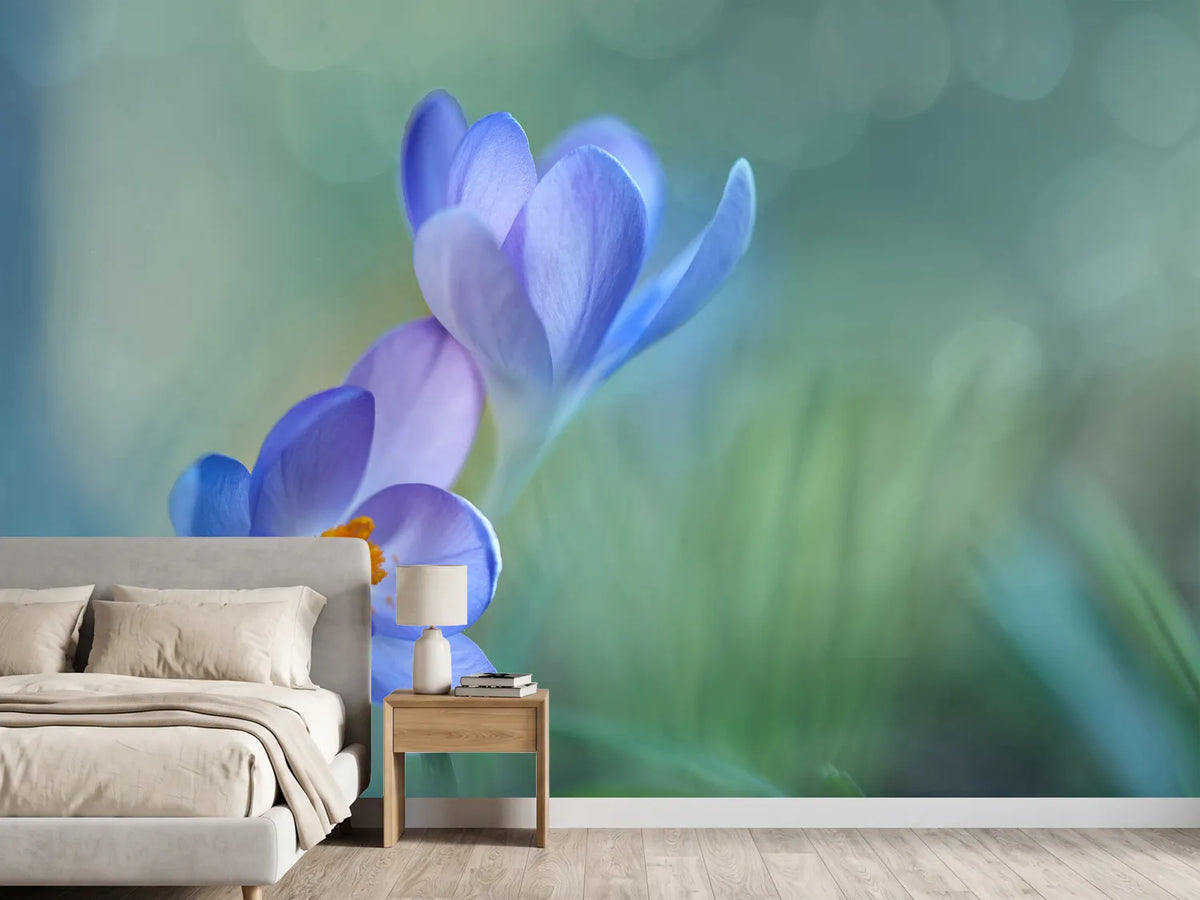 photo-wallpaper-lovely-couple-x