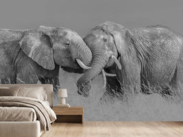 photo-wallpaper-elephant-flight