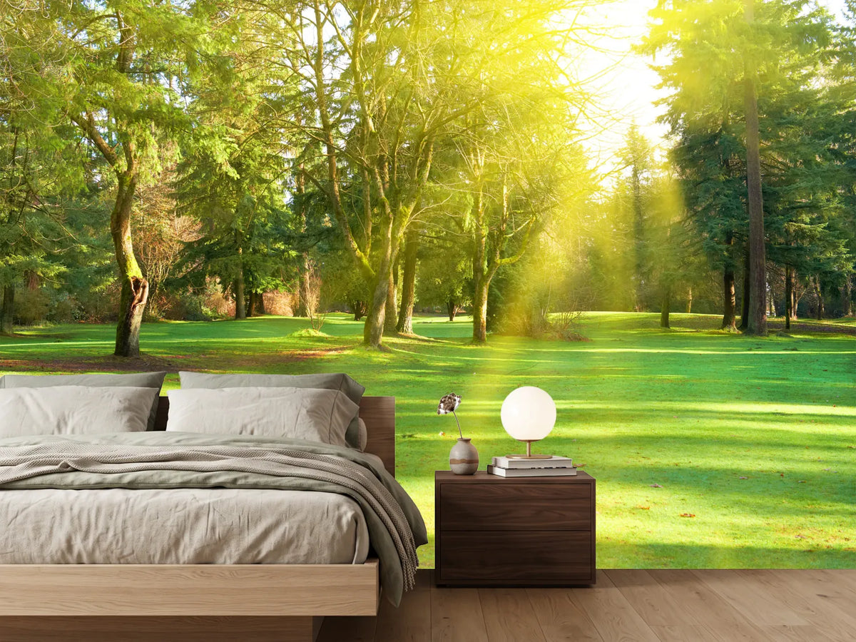photo-wallpaper-in-the-park