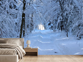 photo-wallpaper-finally-winter