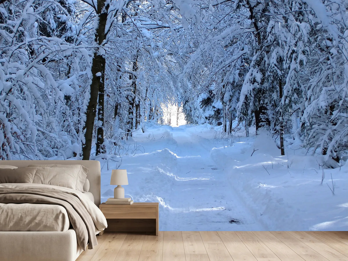 photo-wallpaper-finally-winter